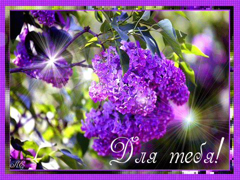 upload_2016-5-12_15-9-20.png