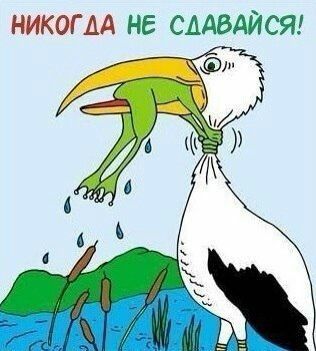 20f5e098ecc277d0d2b3570e7141d03e.jpg