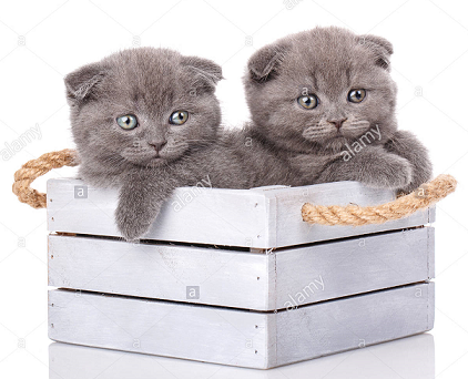 upload_2018-9-27_12-5-5.png