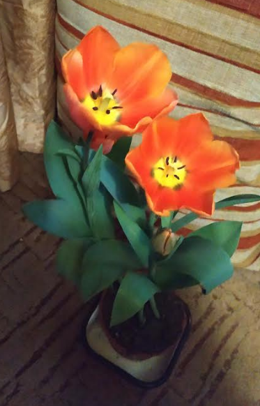 upload_2019-3-7_23-29-57.png