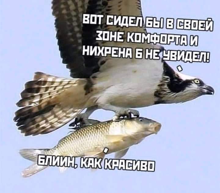 14-22-46-93854646_1080759202323460_6755333487537946624_n.jpg