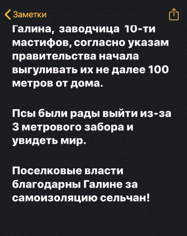 11-07-02-93660006_1270093736528228_5664323833423724544_n.png
