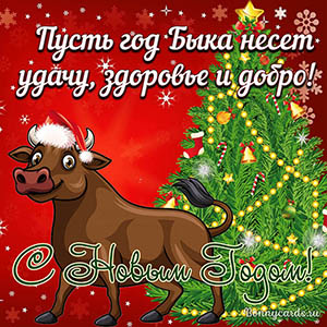 s-newyear0116.jpg