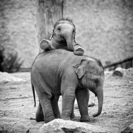 cute back massage.jpg