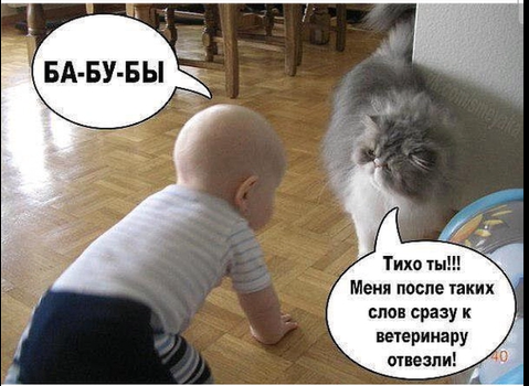 upload_2022-1-25_13-58-6.png