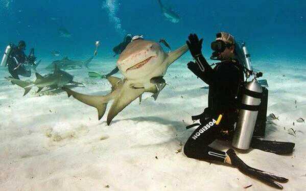 high five.jpg