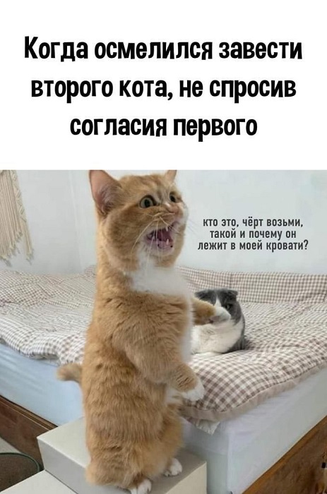 FDs2SBKXoAEMuAO.jpg