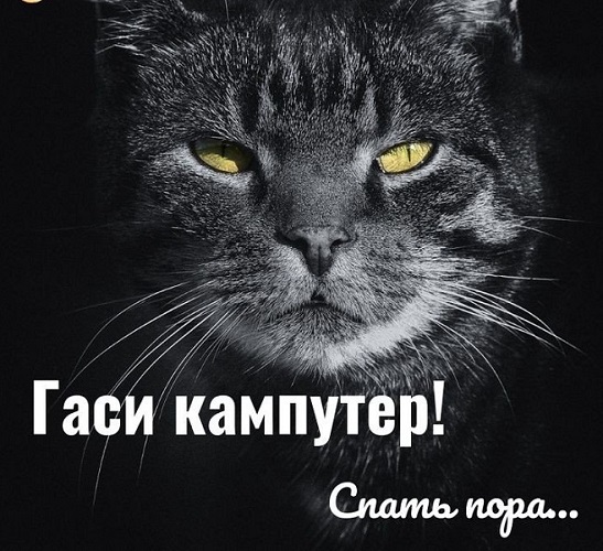 FAzJ_n6XMAUnDOk — копия.jpg