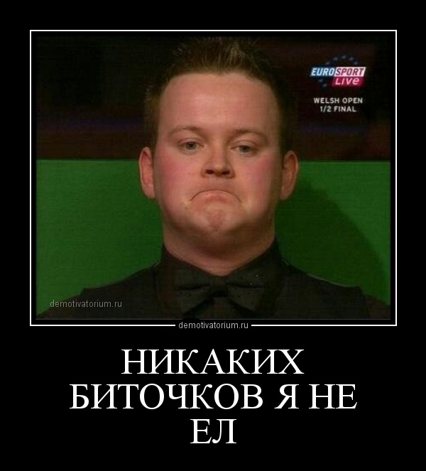 demotivatorium_ru_nikakih__bitochkov_ja_ne_el.jpg