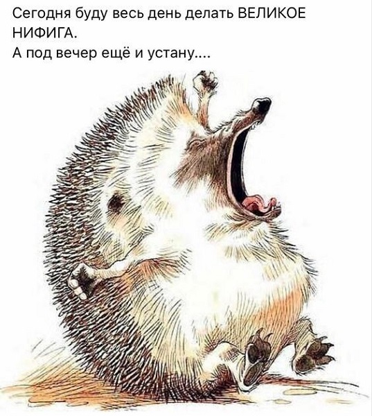 229ab0423c1faf1edd78add2eb782bf2.jpg