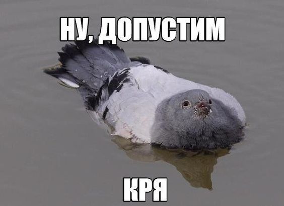 b87963da29531b253b1340100495b30b.jpg