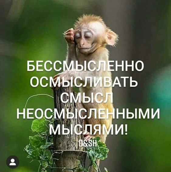 bfd6f5bcf24d1db351fc6b9cbbf12829.jpg