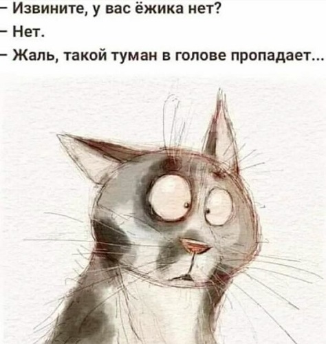 5e80151949a18eb45f7a0fe4266f0baf — копия.jpg