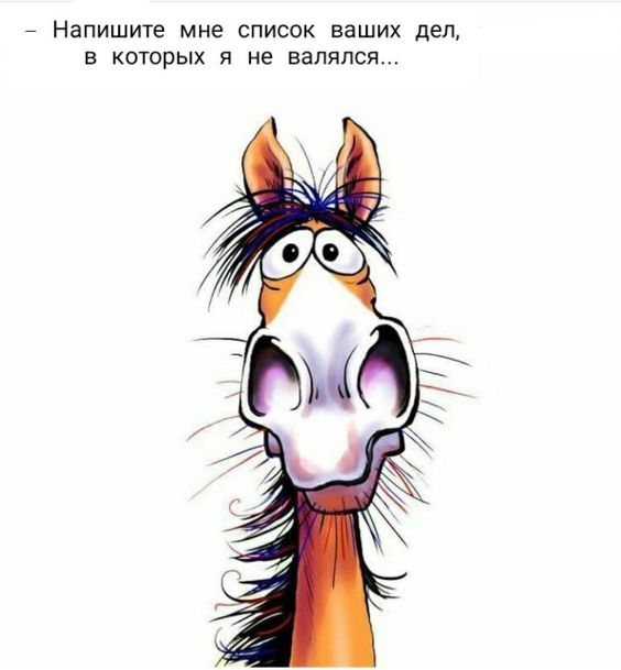 2e790b1265b1a802b375000e7e036c20.jpg
