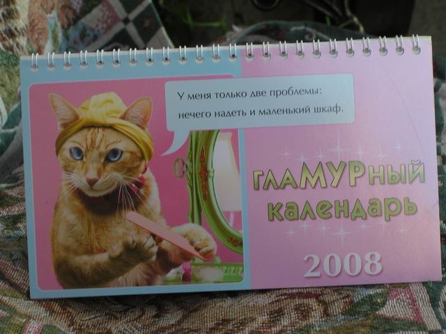 cat2.jpg