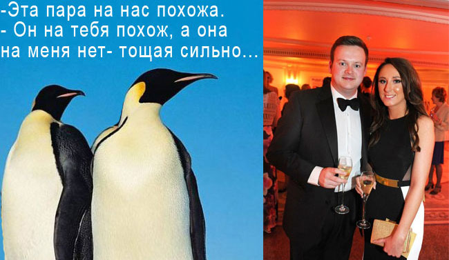 23206_PpQeY2Cd4Ck.jpg