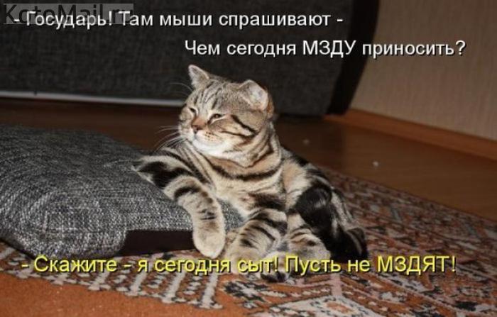 Мзда.jpg