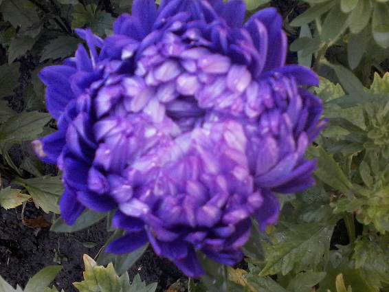 P29-08-13_19.51.jpg
