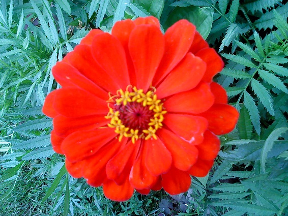 DSC00048.JPG