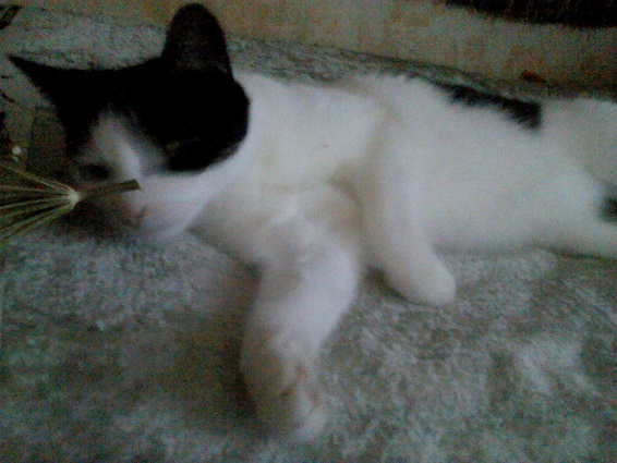 DSC00110.JPG