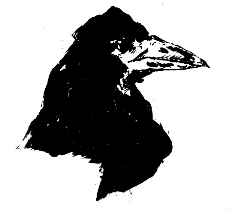 raven1.jpg
