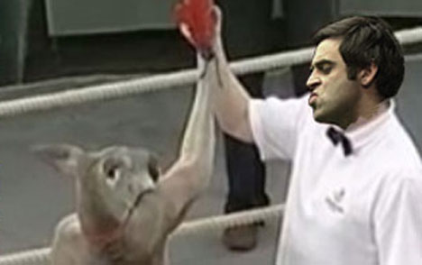 Ханнивер.jpg