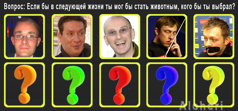 Вопрос-Животные.jpg