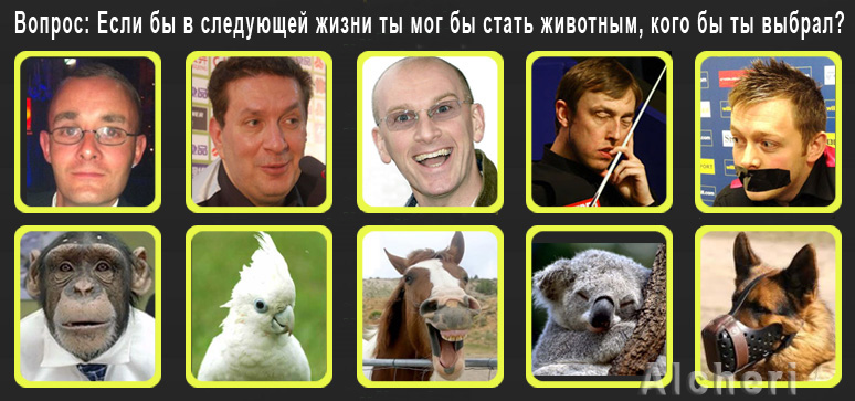 Ответ-Животные.jpg