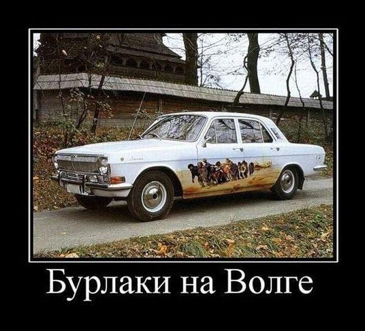 3290710_9954b909.jpg