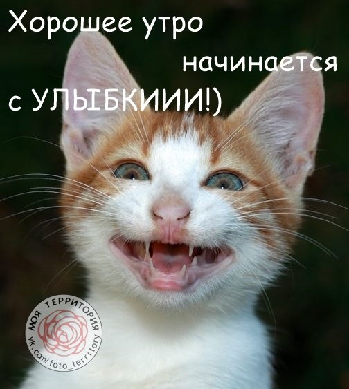 KEJJ3dmHMrg.jpg