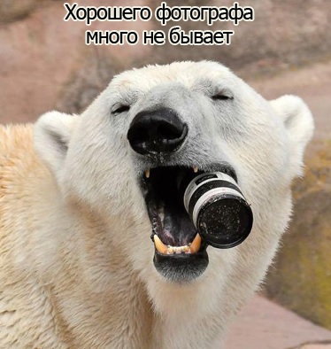 xf.jpg
