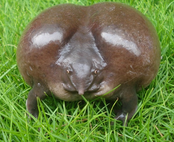 je.jpg