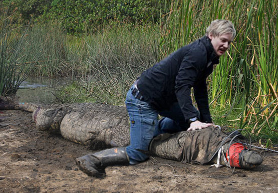 news-crocodile_catching.jpg