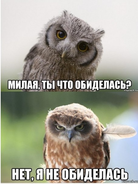 PP9TIijMjDk.jpg