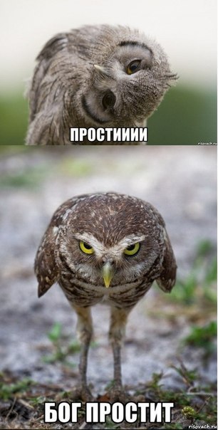 R85jI1B2fLw п.jpg