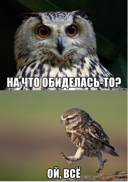 акпк.jpg