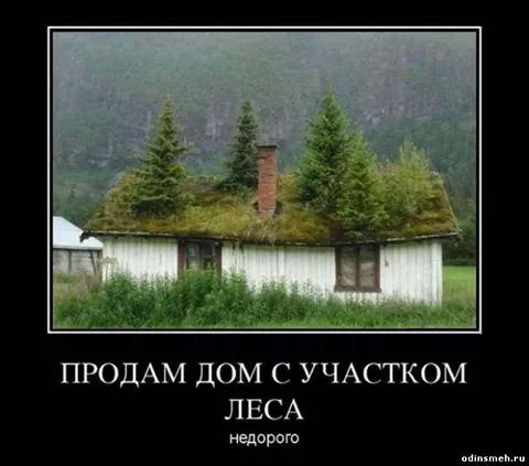 IMG_2667023311713533877267.jpeg