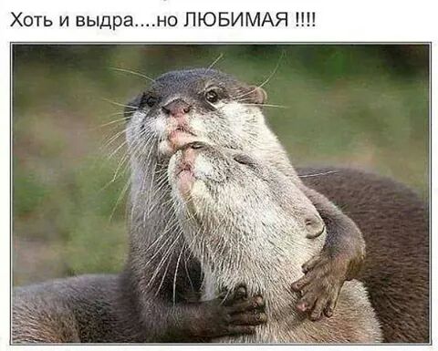 IMG_3847949258846.jpeg
