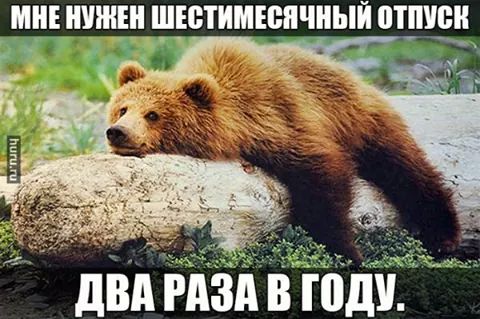 IMG_16023743852354.jpeg