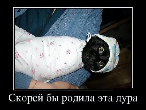 IMG_2194565368404.jpeg