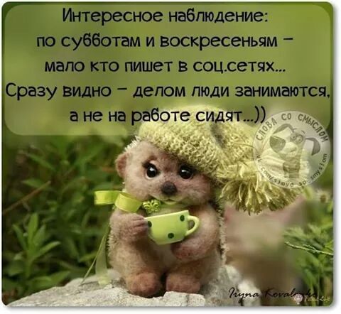 IMG_6532562794271.jpeg