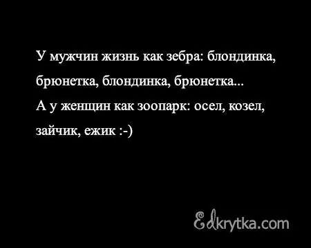 IMG_3157712087983.jpeg