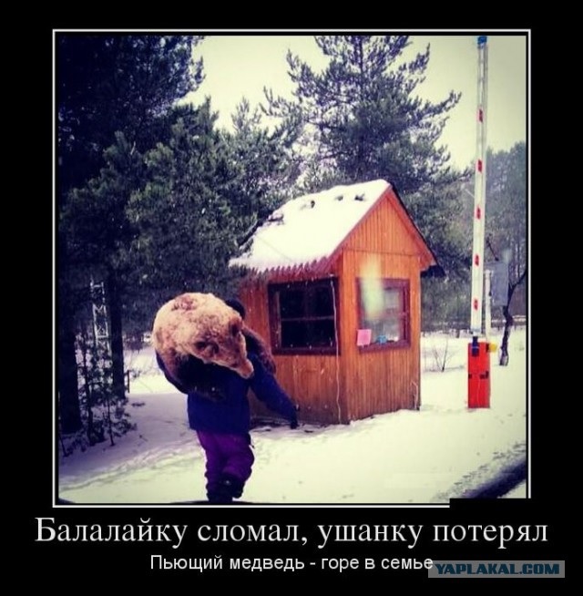 пьющиймедведь.jpg