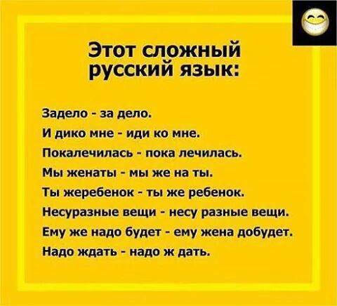 IMG_3214720706266.jpeg