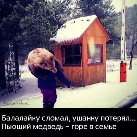 IMG_2431564411625.jpeg