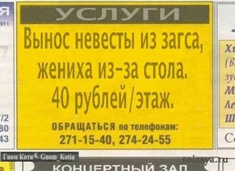 IMG_2268323306842.jpeg