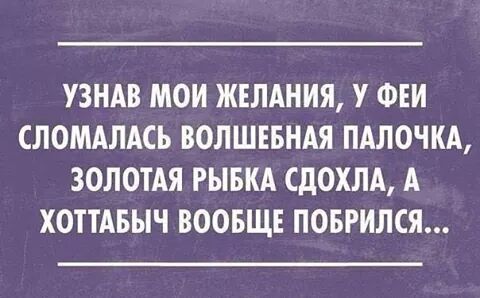 IMG_1267405517751.jpeg