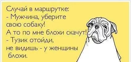 IMG_8701318384646.jpeg