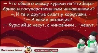 IMG_8633990211911.jpeg