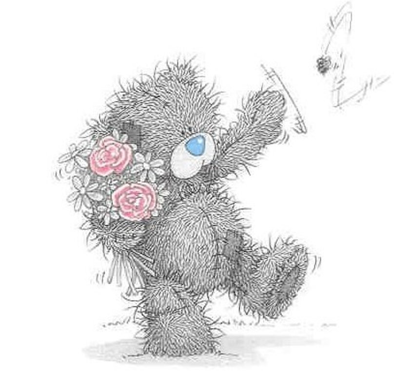 teddibear1.jpg